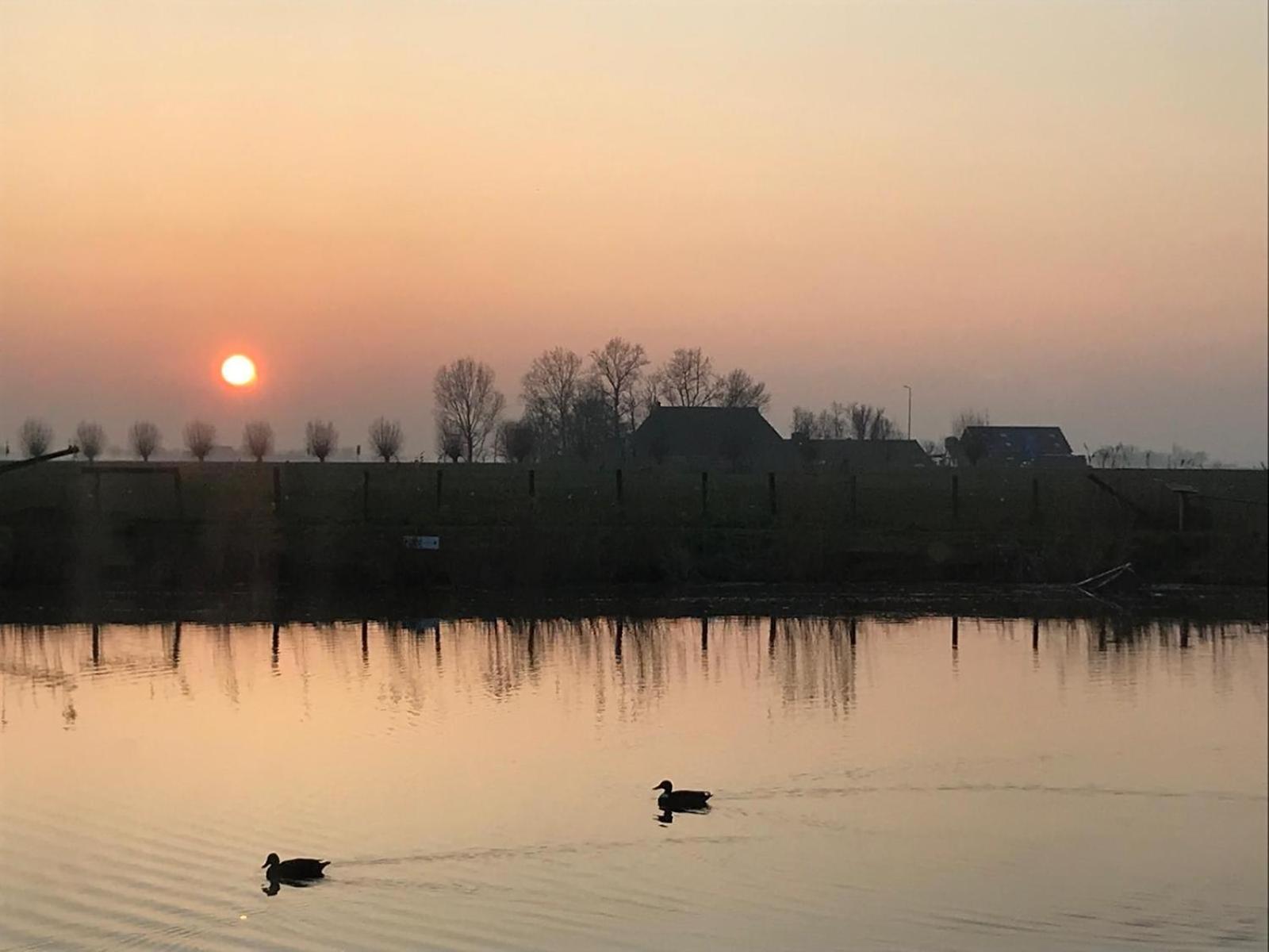 Uniek Overnachten In Een Tiny House Op De Appelhof Wommels Kültér fotó
